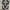 NEW BALANCE 1906R photo 5
