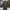 Forever 21 Fairy Jumpsuit Wanita green photo 5