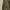 Military cargo pants photo 6