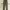 Military cargo pants photo 1