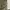 Military cargo pants photo 5