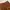 GU Sportswear Formal Pants Pria Brown