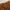 GU Sportswear Formal pants Pria brown photo 3