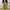 Baggy pants photo 1