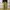 Baggy pants photo 3