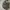 M65 style military jacket photo 4