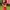 Forever 21 Futurist Midi Dress Wanita Red