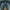 Buckaroo Flare Jeans Boot Cut Low rise photo 4