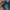 Buckaroo Flare Jeans Boot Cut Low rise photo 5