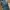 Buckaroo Flare Jeans Boot Cut Low rise photo 3