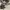 Birkenstock photo 1