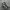 nike tn photo 3