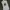 Polo Ralph Lauren Casual Pria white photo 1