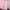 Longdress tali leher pink roseperi flower coquette pressbody photo 2