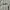 MLB Streetwear Sportswear T-shirt Pria gray photo 1