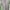MLB Streetwear Sportswear T-shirt Pria gray photo 2