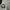 MLB Streetwear Sportswear T-shirt Pria gray photo 2