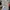 MLB Streetwear Sportswear T-shirt Pria gray photo 1