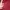 Adidas Minimalist Casual Sweatshirt Pria red photo 4