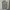Vintage Long Sleeve St. Scott London Original photo 1
