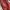 Salvatore Ferragamo Casual Shoulder bag Wanita red photo 4