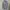 Vintage Long Sleeve Michiko London Koshino Original photo 1