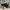 NIKE Tn FULLBLACK photo 1