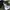 Gu ballon pants superwide photo 3
