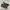 Converse Chuck Taylor All Star 70s Chinese New Year 2020