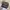 LV Nano Speedy photo 1