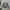 URBAN RESEARCH SWEATSHIRT photo 1