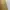 Pakaian adat Reworked Kebaya Wanita gold photo 5