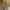 Pakaian adat Reworked Kebaya Wanita gold photo 3
