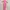 (NEW) Shein pink backless tanktop photo 1