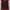 VEST ACADEMIA MERAH LIST MERAH WARNA MERAH