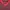VEST ACADEMIA MERAH LIST MERAH WARNA MERAH photo 2