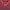 VEST ACADEMIA MERAH LIST MERAH WARNA MERAH