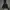 Adidas ZNE/adidas tech photo 4