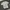 NBA tee photo 4