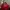 Michael Kors Selma Saffiano Red Satchel photo 1