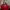 Michael Kors Selma Saffiano Red Satchel
