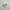 Nike Zoomx 2k photo 1