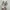 Nike Zoomx 2k photo 4