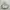 Nike Zoomx 2k photo 2