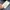 Dickies Biker Casual Denim jacket Pria navy photo 5