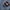 Dickies Biker Casual Denim jacket Pria navy photo 4