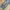 Dickies Biker Casual Denim jacket Pria navy photo 2