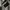 Avirex  pilot jacket  photo 7