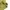 Casual Polo shirt Pria green yellow photo 4