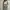 multiways white tanktop (herpalais) photo 1